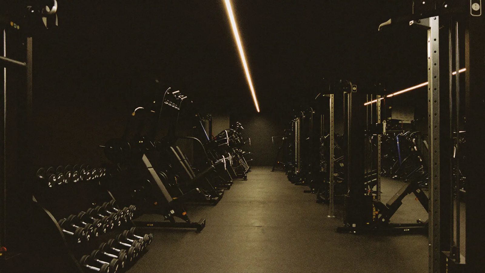 Fitness & Supplements buying guides