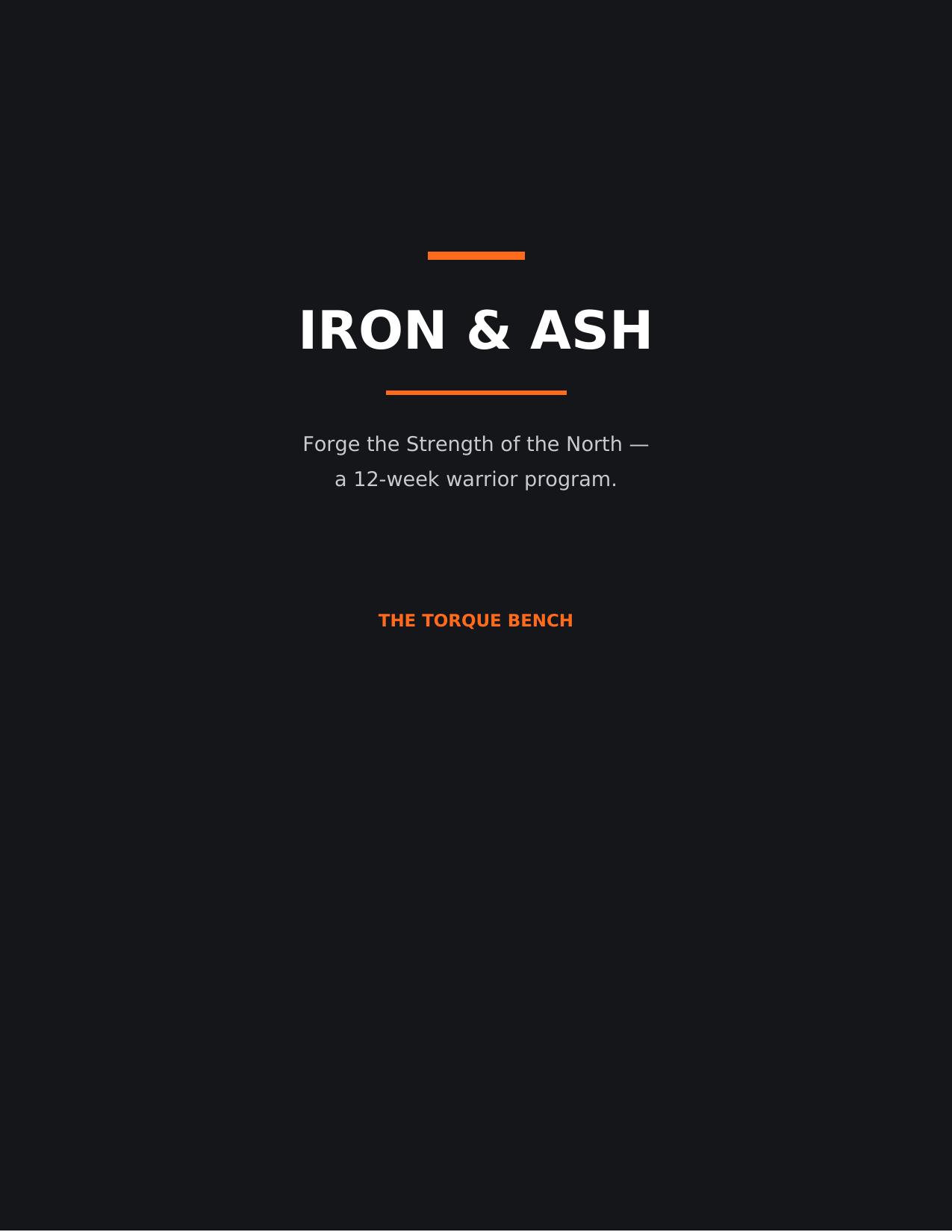 Iron and Ash: The Viking Training Guide cover